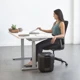 Shredder Fellowes LX 45
